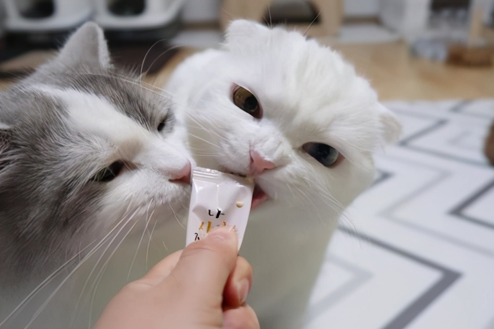 適合創業的小生意有哪些呢?-專在家創業網