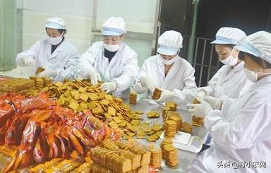 農村創業干啥最賺錢？這12個農村致富好項目，你值得一試