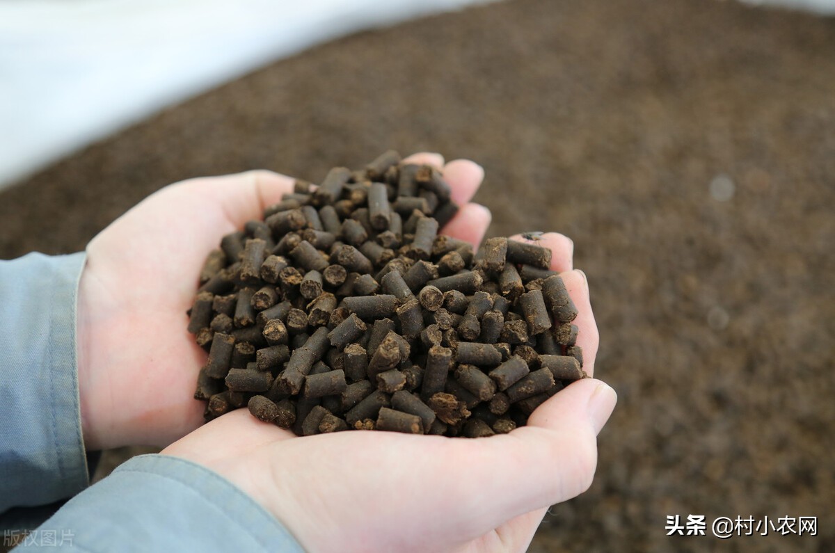 農村青年返鄉創業，到底干啥能致富？這8個項目就“錢”景可觀