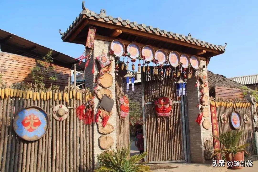 2021鄉村振興怎么干?看看這5個項目,或許你都會回農村賺錢去了