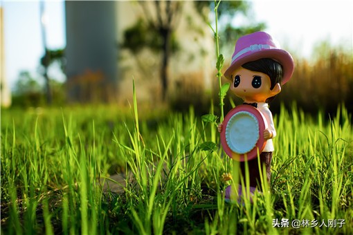 小縣城有什么商機(jī)?推薦6個(gè)縣城比較好的創(chuàng)業(yè)項(xiàng)目-專在家創(chuàng)業(yè)網(wǎng)