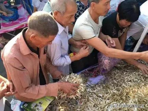 小生意賺大錢，你想不到的這些小生意，也能賺大錢