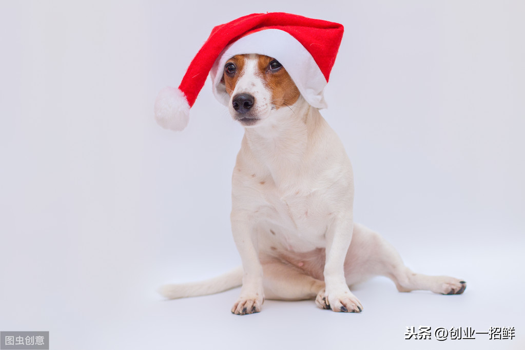 小本創(chuàng)業(yè)可以做什么?15個適合小本創(chuàng)業(yè)的賺錢生意-專在家創(chuàng)業(yè)網(wǎng)