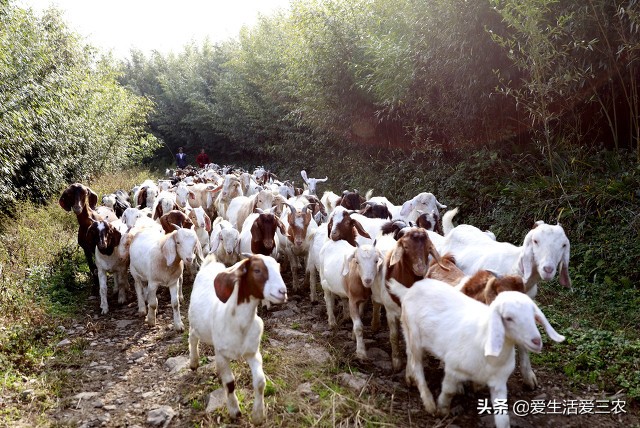 自己創業投資小的項目-創業致富小項目-專在家創業網