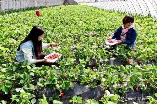 適合投資小的創業項目(賺錢的小項目,投資小,利潤大)-專在家創業網