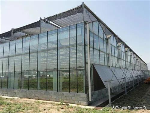 想在農(nóng)村創(chuàng)業(yè)有怕賠錢(qián)?來(lái)做這幾個(gè)很穩(wěn)妥的項(xiàng)目吧,建議收藏