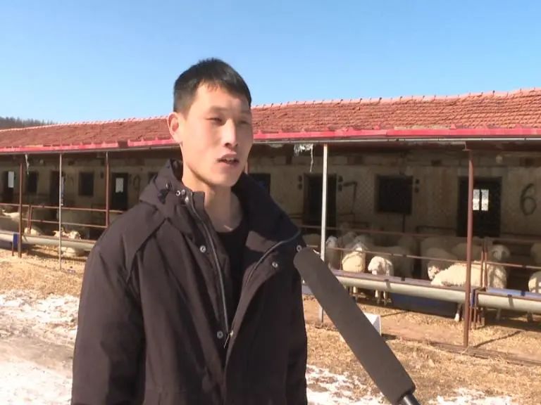 清原90后“新農人”返鄉創業走上“羊”光大道-5