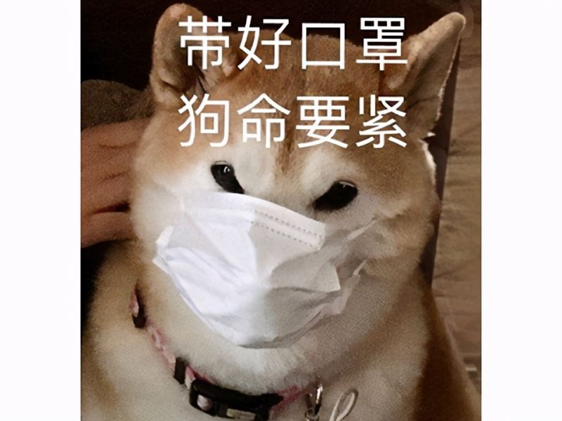 什么網絡游戲不充錢玩了還能掙錢 -2 什么網絡游戲不充錢玩了還能掙錢 -2