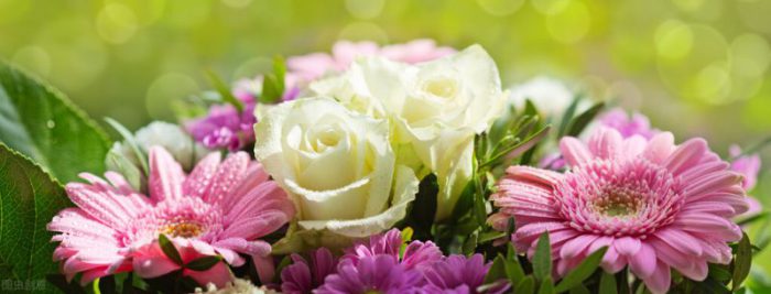 50個適合縣城做的代理-專在家創(chuàng)業(yè)網(wǎng)