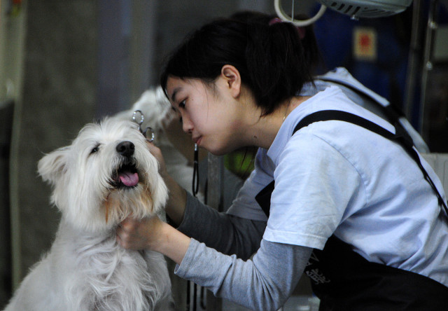 適合窮人的18個創業項目投資小有哪些？ -8