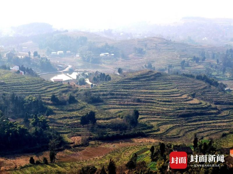 農學博士李洪權返鄉創業“不走尋常路”-1