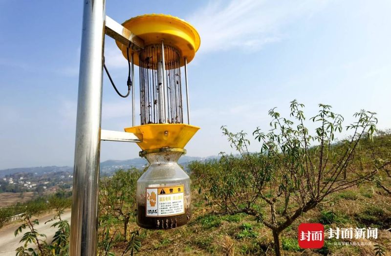 農學博士李洪權返鄉創業“不走尋常路”-4