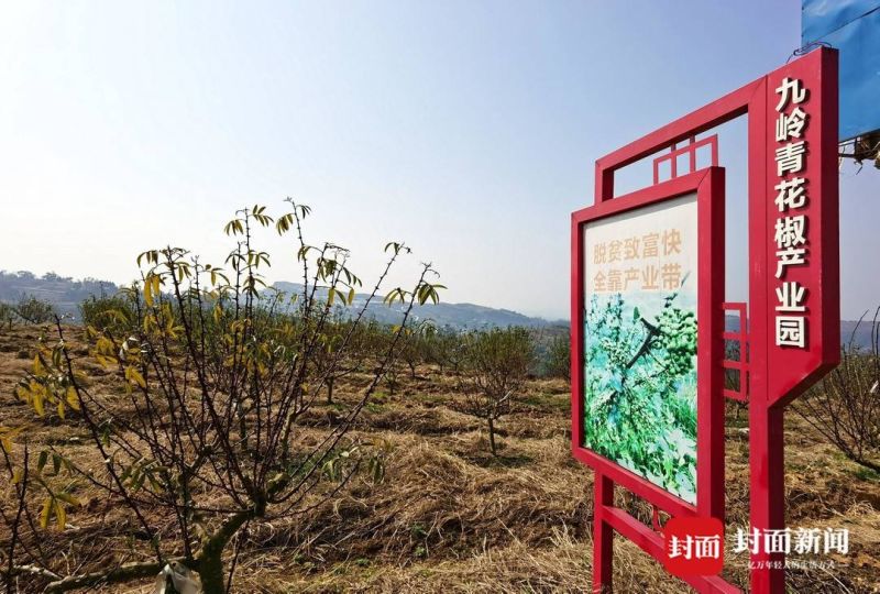 農學博士李洪權返鄉創業“不走尋常路”-5