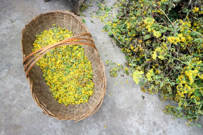 鄉(xiāng)鎮(zhèn)空缺生意有哪些 2022年必火的創(chuàng)業(yè)項(xiàng)目-專在家創(chuàng)業(yè)網(wǎng)