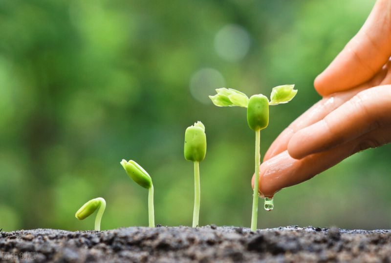 50個適合縣城做的代理 -11 50個適合縣城做的代理 -11