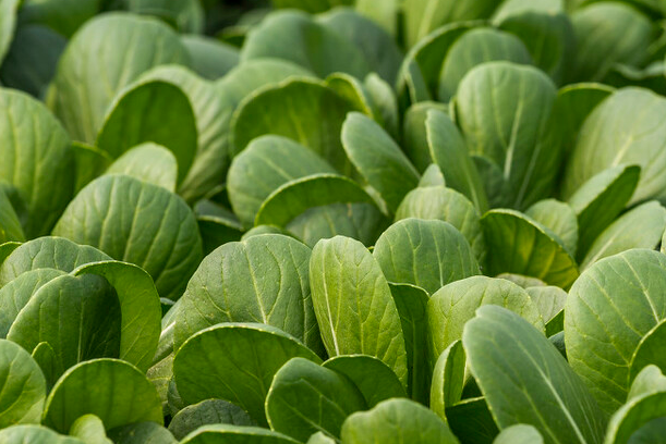 初次創(chuàng)業(yè)開什么店合適？推薦9個月入兩三萬可以開的店-1