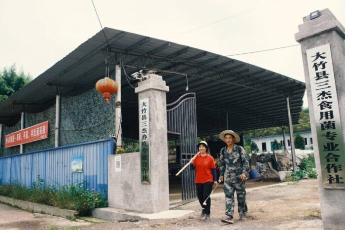 農(nóng)民工返鄉(xiāng)創(chuàng)業(yè) 撐起鄉(xiāng)村振興“半邊天”-專在家創(chuàng)業(yè)網(wǎng)