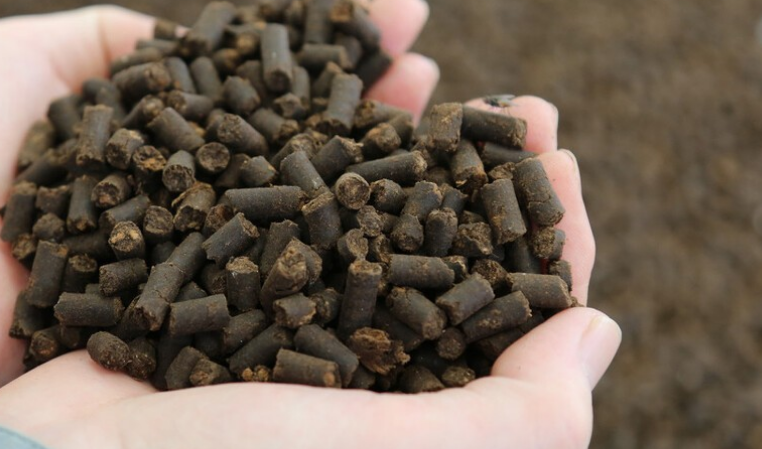 八個適宜在農(nóng)村創(chuàng)業(yè)致富的項目-農(nóng)民創(chuàng)業(yè)致富好項目-1 八個適宜在農(nóng)村創(chuàng)業(yè)致富的項目-農(nóng)民創(chuàng)業(yè)致富好項目-1