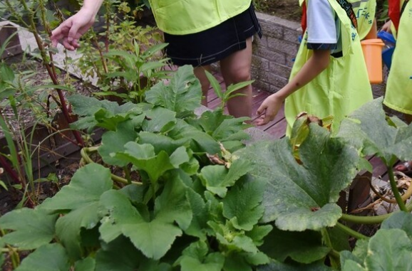 鄉鎮適合做什么-適合農村鄉鎮的生意-1