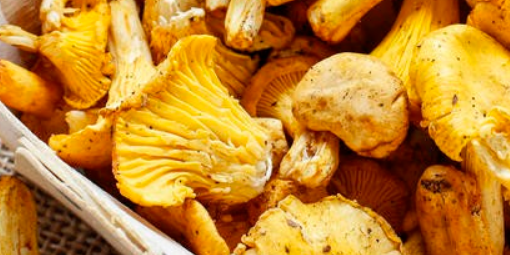 八個適宜在農(nóng)村創(chuàng)業(yè)致富的項目-農(nóng)民創(chuàng)業(yè)致富好項目-1 八個適宜在農(nóng)村創(chuàng)業(yè)致富的項目-農(nóng)民創(chuàng)業(yè)致富好項目-1