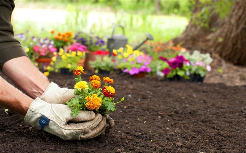 50歲了能干點(diǎn)什么創(chuàng)業(yè)-適合50歲父母干的生意-專在家創(chuàng)業(yè)網(wǎng)