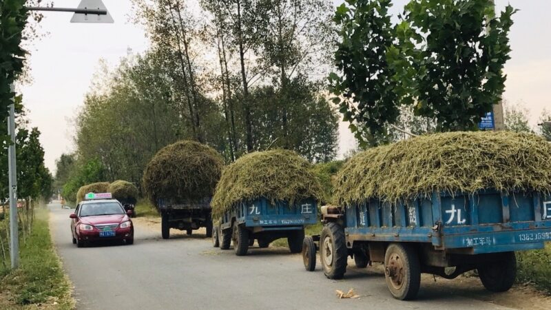 小創(chuàng)業(yè)做什么好?最容易起步的3個(gè)創(chuàng)業(yè)項(xiàng)目-8