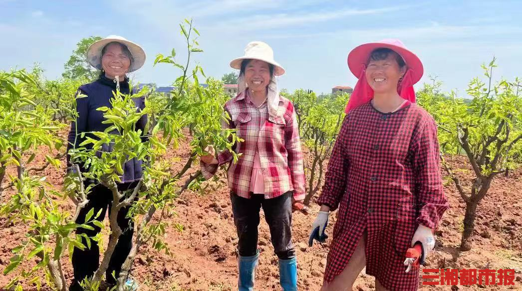 60后“SHE”抱團創業-專在家創業網