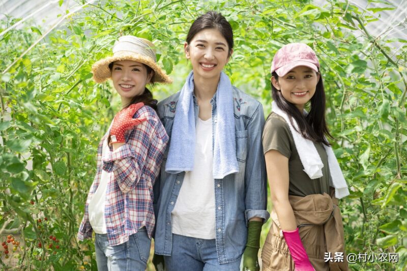 創業致富好項目 最新農村致富好項目-專在家創業網