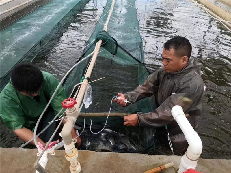 半年時間，荊州三千返鄉創業人員帶動萬余人就業-專在家創業網