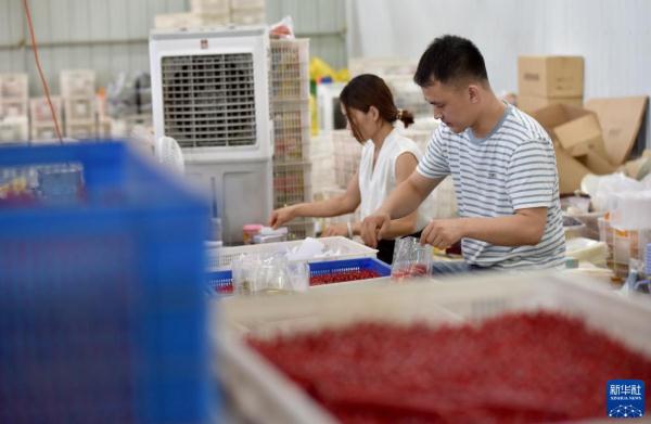 “90后”電商達人返鄉創業記(90后回鄉創業)-2