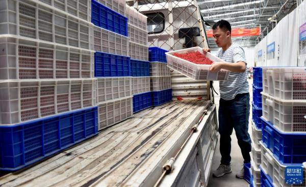 “90后”電商達人返鄉創業記(90后回鄉創業)-4