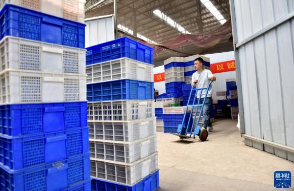 “90后”電商達人返鄉創業記(90后回鄉創業)-6