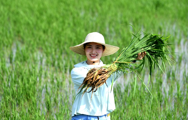 千萬人返鄉(xiāng)創(chuàng)業(yè)：鄉(xiāng)村振興下的弄潮兒-專在家創(chuàng)業(yè)網(wǎng)