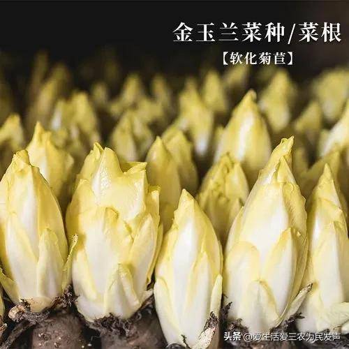 2022家庭作坊加工項目有哪些？家庭辦廠小項目推薦-1