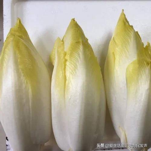 2022家庭作坊加工項目有哪些？家庭辦廠小項目推薦-1