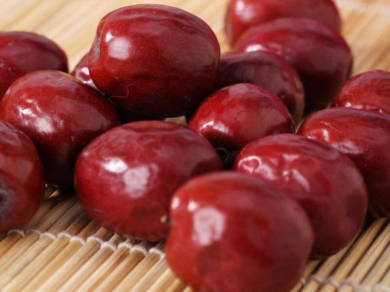 中國十大名棗排名(好吃棗品種排行榜)-專在家創(chuàng)業(yè)網(wǎng)