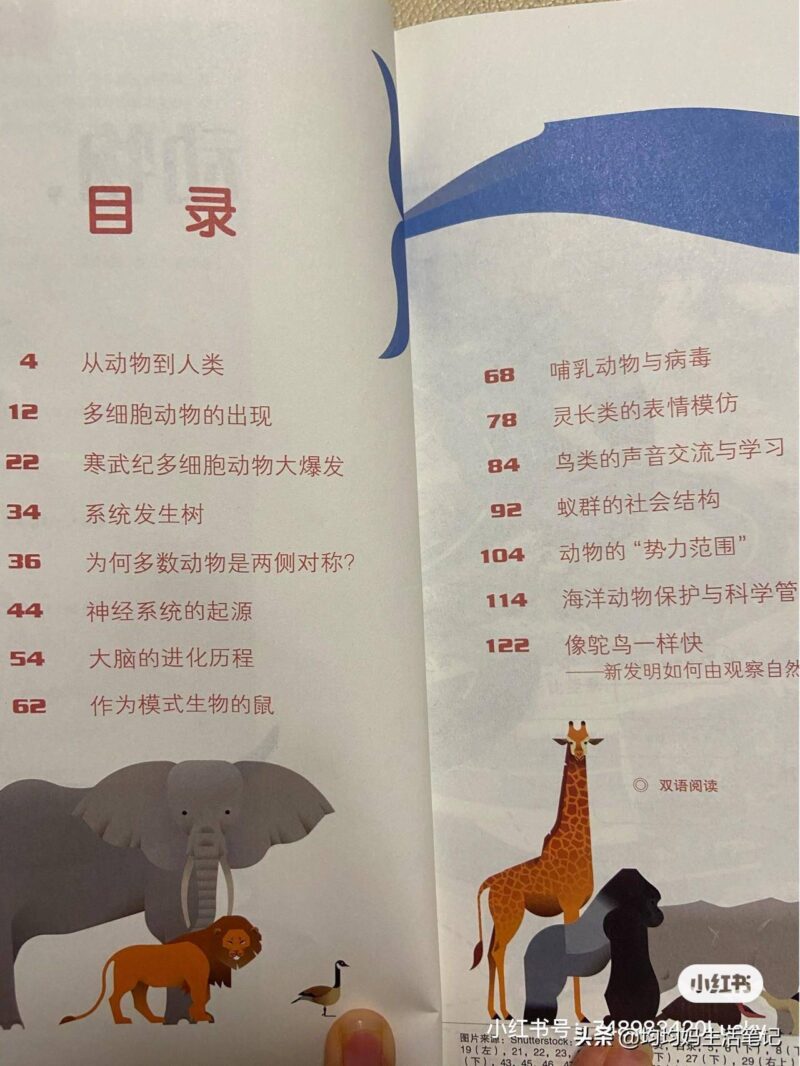 給孩子值得訂閱的十大雜志(十大暢銷雜志排行榜)-1