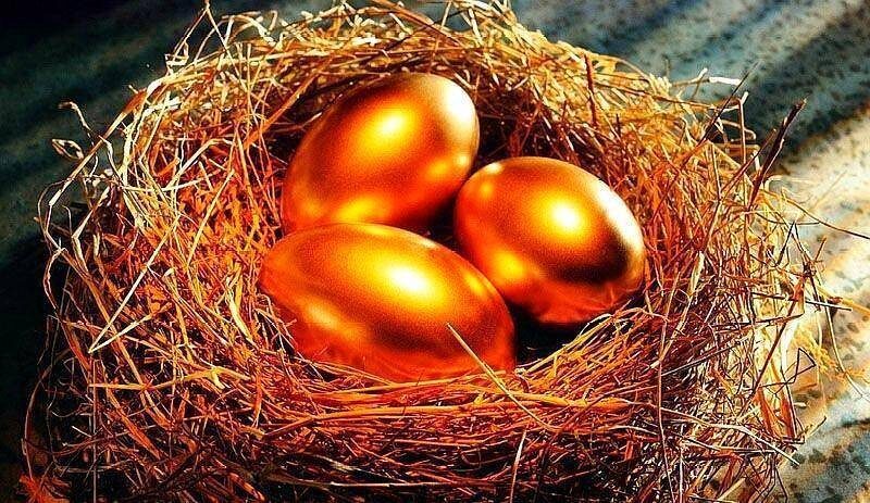 孵化園是干什么的-1