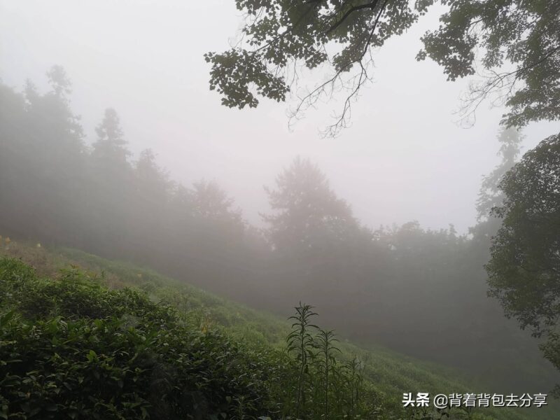 安徽旅游必去十大景點(安徽旅游景點大全排名榜)-1 安徽旅游必去十大景點(安徽旅游景點大全排名榜)-1