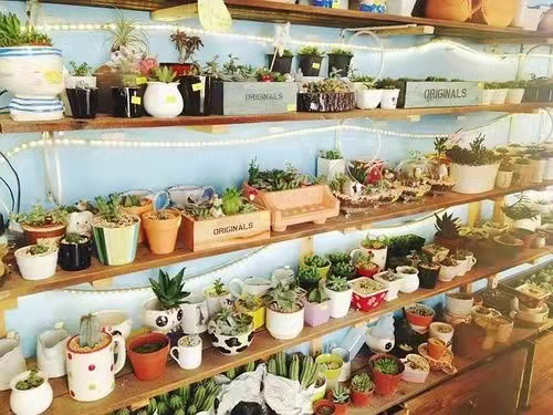 女人沒經驗開什么店好?成本低適合女性開個店-1 女人沒經驗開什么店好?成本低適合女性開個店-1