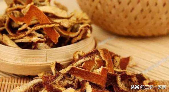 小雞吃什么食物(在家里養小雞技巧)-1