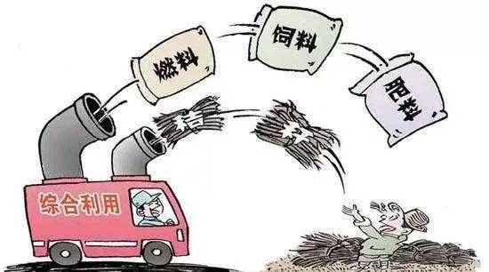 秸稈如何利用？農村秸稈處理方法-專在家創業網