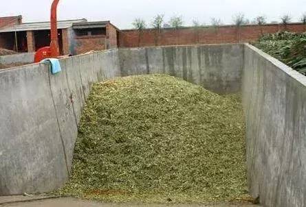 秸稈如何利用？農村秸稈處理方法-1