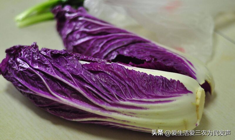 農村養什么賺錢好養？目前養殖什么最有前景-1