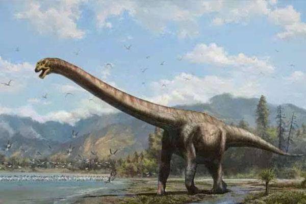 已滅絕的十大最強怪物(十大滅絕的可怕古生物)-1 已滅絕的十大最強怪物(十大滅絕的可怕古生物)-1