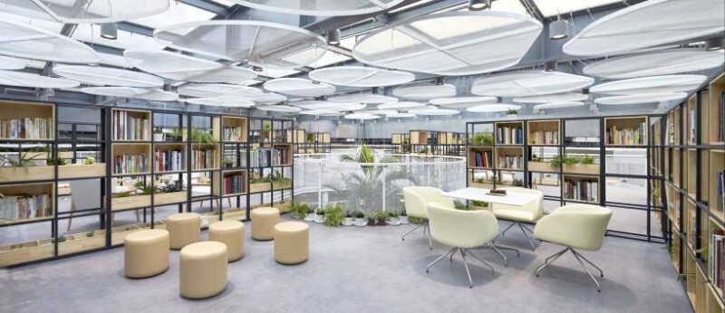 孵化園是干什么的-1