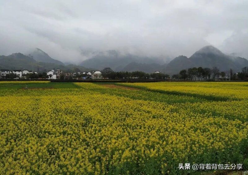 安徽旅游必去十大景點(安徽旅游景點大全排名榜)-1 安徽旅游必去十大景點(安徽旅游景點大全排名榜)-1