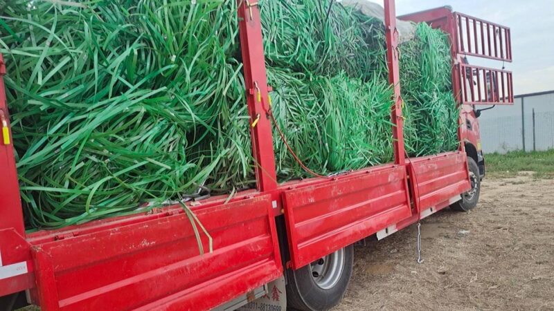 加盟家庭辦廠加工-1