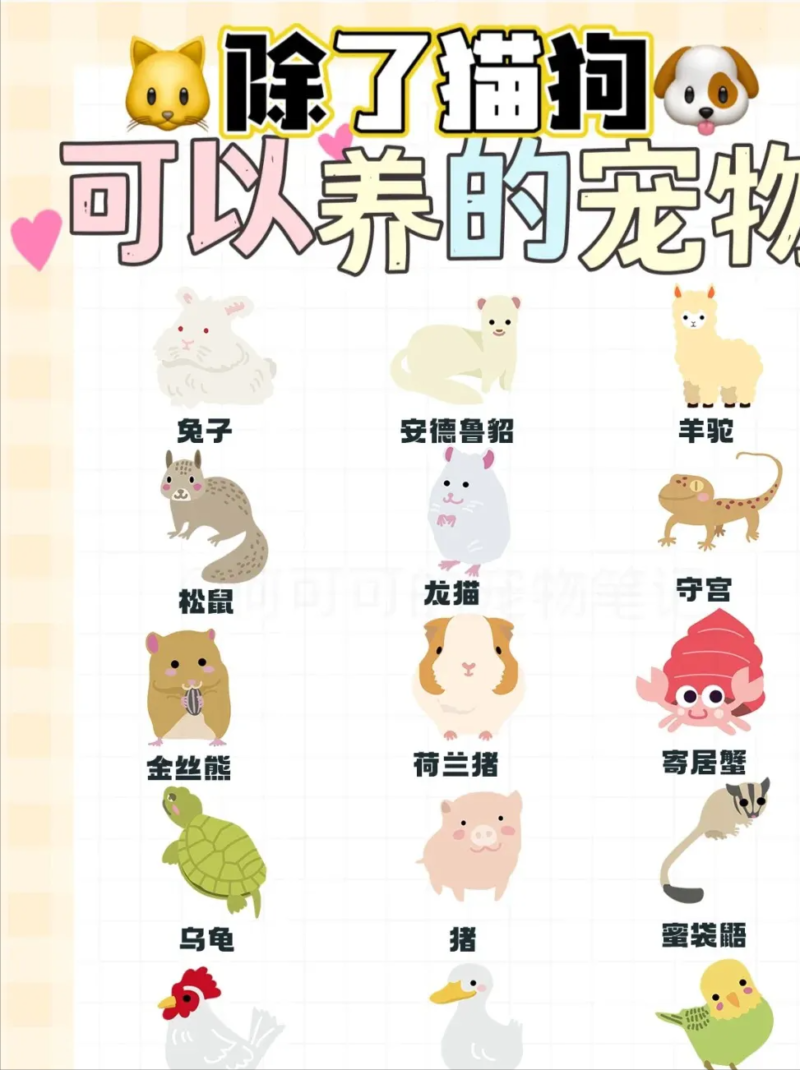 未來10年最賺錢行業(未來十年最吃香的行業)-1 未來10年最賺錢行業(未來十年最吃香的行業)-1