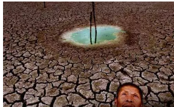 微信程序賺錢賺幾百萬是真的嗎(案例分享)-1 微信程序賺錢賺幾百萬是真的嗎(案例分享)-1